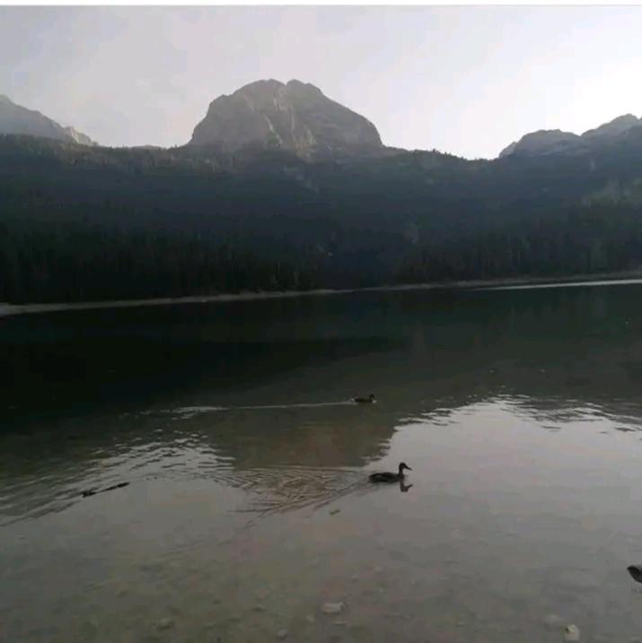 Mountain * Zabljak (Zabljak)